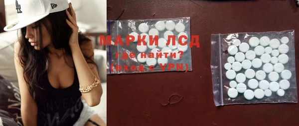 гидра Богородицк