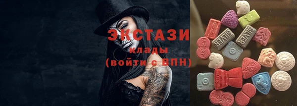 гидра Богородицк