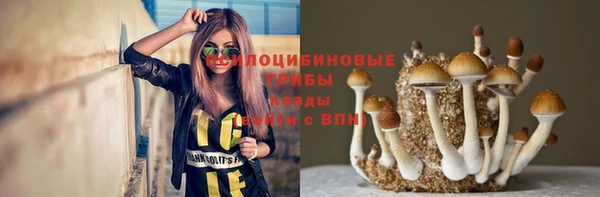 гидра Богородицк
