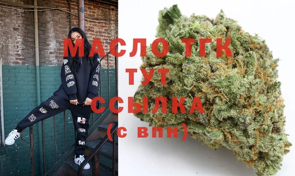 гидра Богородицк