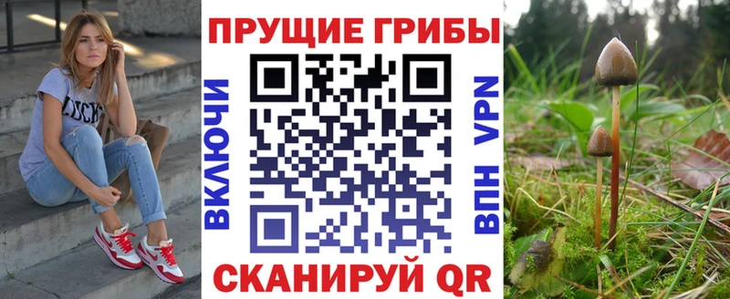 blacksprut   Чухлома  Галлюциногенные грибы мухоморы 